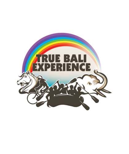 True Bali Experience