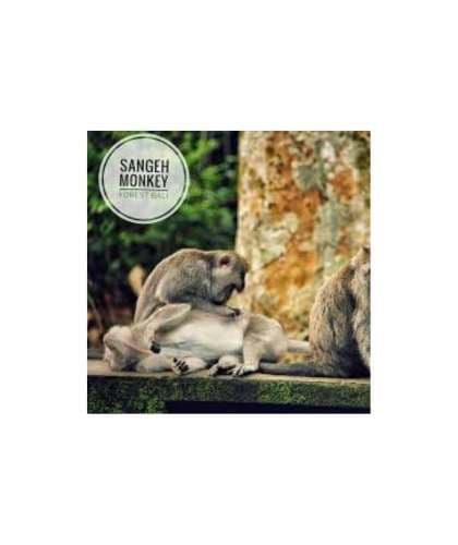 Sangeh Monkey Forest